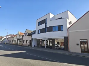 Prodej bytu 2+kk, Poděbrady, Palackého, 87 m2