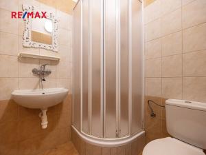 Prodej vícegeneračního domu, Doksy, Pod Borným, 1700 m2