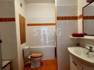 Pronájem bytu 1+1, Ostrava, Hornopolní, 34 m2