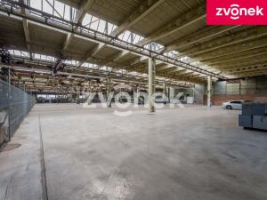 Pronájem výrobních prostor, Holešov, 2800 m2