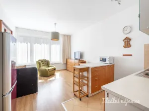 Pronájem bytu 1+kk, Praha - Zličín, Míšovická, 34 m2