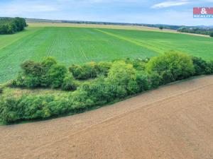 Prodej lesa, Velké Všelisy, 1302 m2