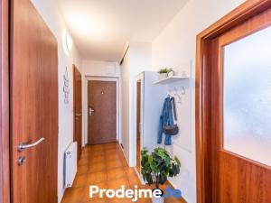 Prodej bytu 2+kk, Jihlava - Horní Kosov, Buková, 56 m2