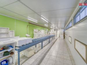 Prodej skladu, Lhůta, 1220 m2