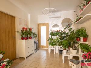 Pronájem obchodního prostoru, Moravská Třebová - Předměstí, Brněnská, 58 m2