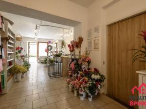 Pronájem obchodního prostoru, Moravská Třebová - Předměstí, Brněnská, 58 m2