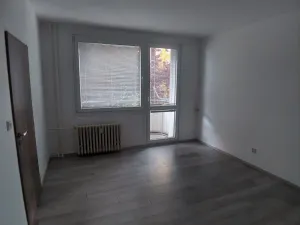 Pronájem bytu 1+1, Tábor, Náchodská, 35 m2