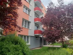 Pronájem bytu 1+1, Tábor, Náchodská, 35 m2