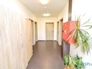 Prodej ubytování, Strachotín, Sklepní, 431 m2