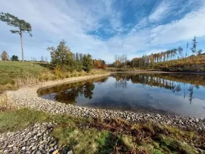 Pronájem rybníku, Krasonice, 11298 m2