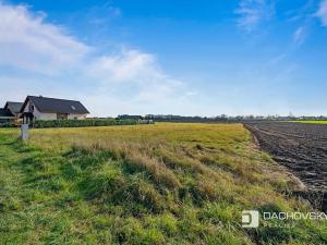 Prodej pozemku pro bydlení, Staré Hradiště, 5910 m2