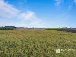 Prodej pozemku pro bydlení, Staré Hradiště, 5910 m2