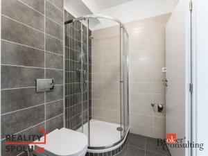 Prodej bytu 1+kk, Pardubice - Zelené Předměstí, Na Spravedlnosti, 29 m2