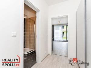 Prodej bytu 1+kk, Pardubice - Zelené Předměstí, Na Spravedlnosti, 29 m2