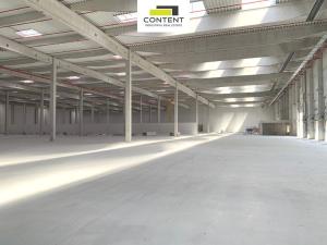 Pronájem výrobních prostor, Most - Čepirohy, U Lesíka, 9330 m2