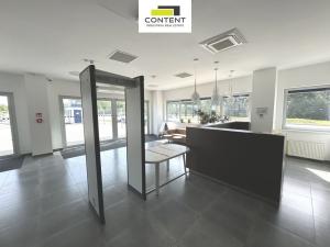 Pronájem výrobních prostor, Most - Čepirohy, U Lesíka, 9330 m2