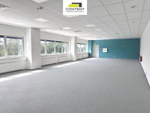 Pronájem výrobních prostor, Most - Čepirohy, U Lesíka, 9330 m2