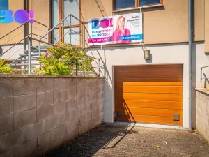 Prodej rodinného domu, Praha, Legionářů, 238 m2