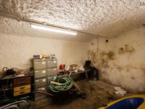 Prodej zemědělské usedlosti, Žihle - Kalec, 200 m2