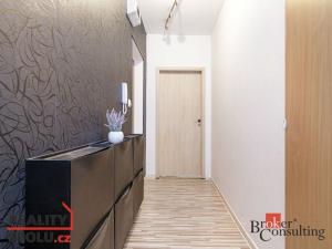 Prodej bytu 2+kk, Ostrava - Moravská Ostrava, Živičná, 51 m2