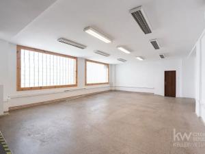 Pronájem kanceláře, Louny, Husova, 175 m2