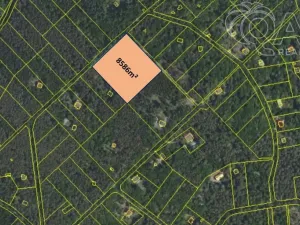 Prodej lesa, Štěchovice, 8586 m2