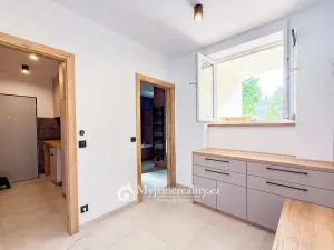 Pronájem bytu 3+kk, Znojmo, 17. listopadu, 75 m2