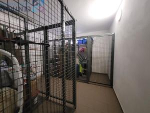 Pronájem bytu 2+kk, Jablonec nad Nisou, Podhorská, 55 m2