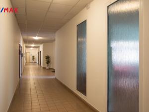 Pronájem kanceláře, Hradec Králové - Slezské Předměstí, Bieblova, 35 m2