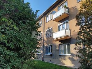 Prodej bytu 3+1, Náměšť nad Oslavou, 78 m2