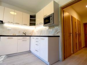 Pronájem bytu 3+1, Brno - Staré Brno, Poříčí, 78 m2