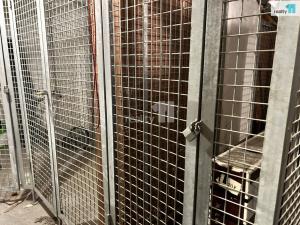 Pronájem bytu 1+kk, Praha - Michle, Adamovská, 45 m2