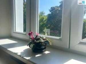 Pronájem bytu 2+kk, Praha - Michle, Adamovská, 46 m2