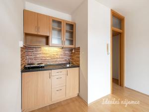 Pronájem bytu 1+kk, Praha - Michle, Magistrů, 32 m2