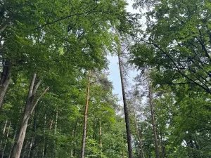 Prodej pozemku, Bohutín, 50672 m2