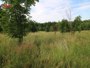 Prodej louky, Frýdlant, 25331 m2