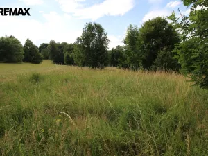 Prodej louky, Frýdlant, 25331 m2