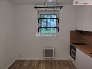 Pronájem bytu 1+kk, Děčín - Děčín III-Staré Město, Zelená, 29 m2