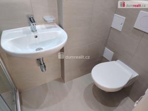 Pronájem bytu 1+kk, Děčín - Děčín III-Staré Město, Zelená, 29 m2