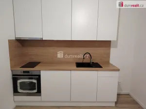 Pronájem bytu 1+kk, Děčín - Děčín III-Staré Město, Zelená, 21 m2