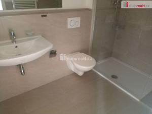 Pronájem atypického bytu, Děčín - Děčín III-Staré Město, Zelená, 65 m2