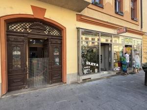 Prodej komerční nemovitosti, České Budějovice - České Budějovice 1, Krajinská, 470 m2