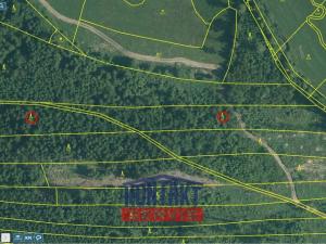 Prodej lesa, Studená - Velký Jeníkov, 7812 m2