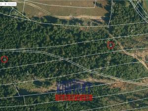 Prodej lesa, Studená - Velký Jeníkov, 7812 m2