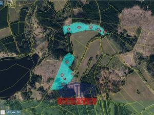 Prodej lesa, Studená - Horní Pole, 47225 m2