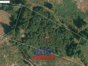 Prodej lesa, Studená - Horní Pole, 47225 m2