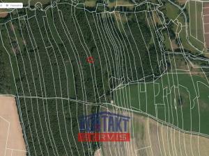 Prodej lesa, Třebějice, 10125 m2