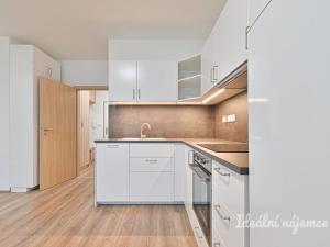 Pronájem bytu 1+kk, Brno, Táborská, 44 m2
