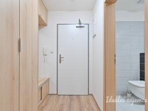 Pronájem bytu 1+kk, Brno, Táborská, 44 m2