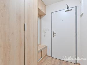 Pronájem bytu 1+kk, Brno, Táborská, 44 m2